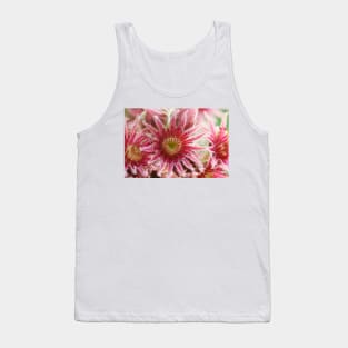 Sempervivum  'Bernstein'  Houseleek Tank Top